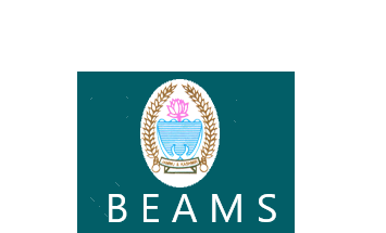 BEAMS | External link that open in new